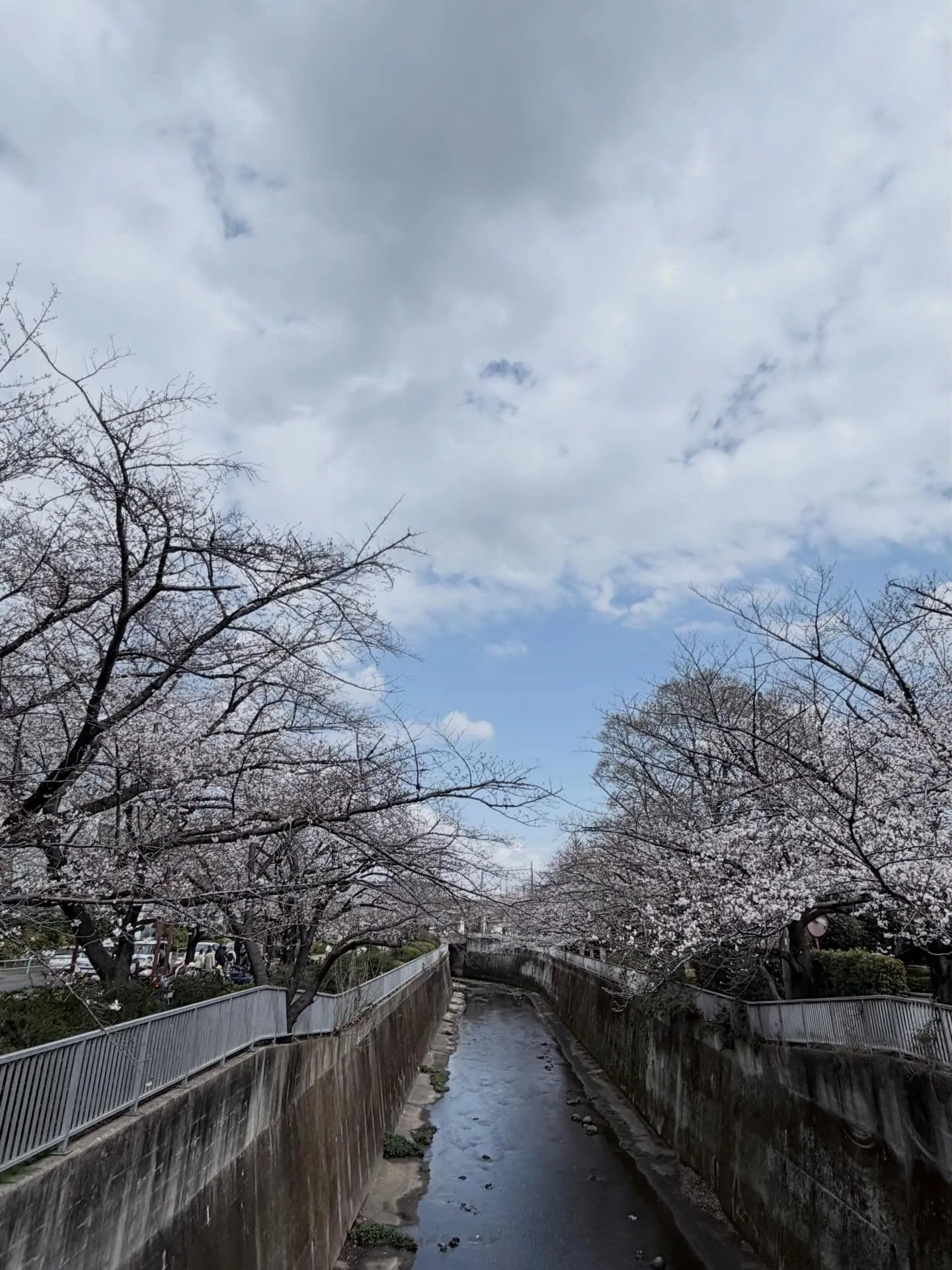 【地球人倶楽部2026年3月28日開催!】